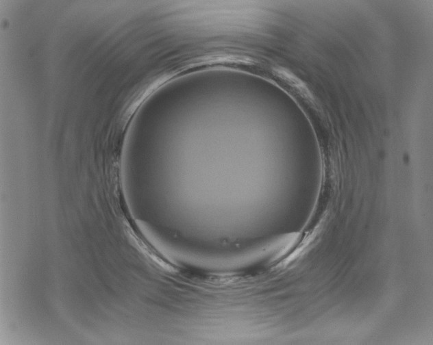 X0000076271369200609281155