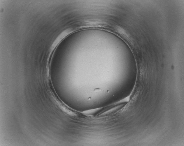 X0000076271370200609281155