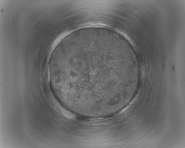 X0000076271371200609281155