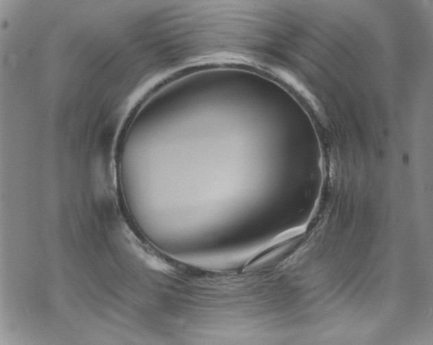 X0000076271372200609281155