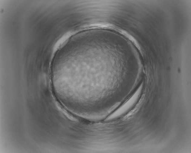 X0000076271373200609281155