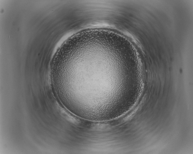 X0000076271374200609281155