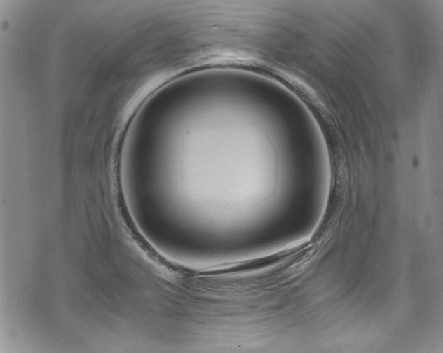 X0000076271375200609281154