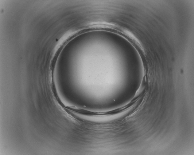 X0000076271376200609281154