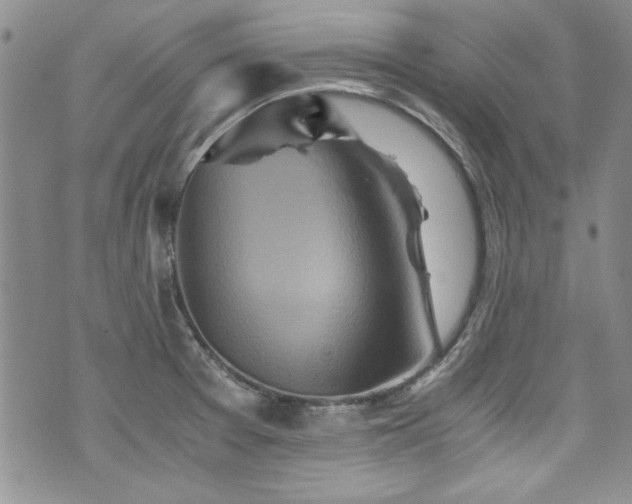 X0000076271377200609281154