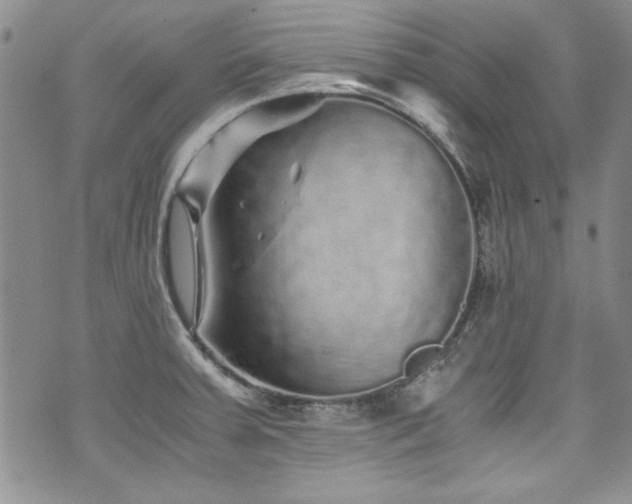 X0000076271379200609281154