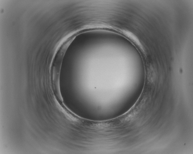 X0000076271380200609281154