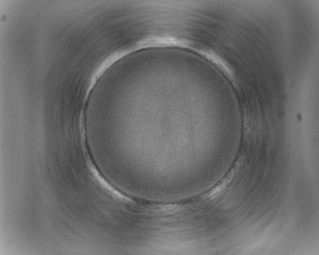 X0000076271382200609281154