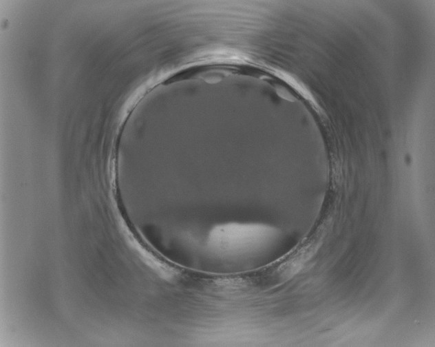 X0000076271383200609281154