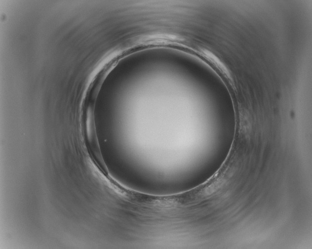 X0000076271384200609281154