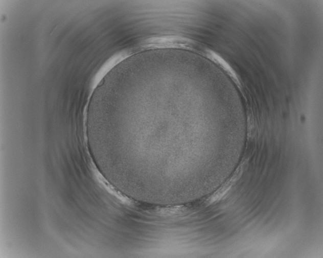 X0000076271386200609281154