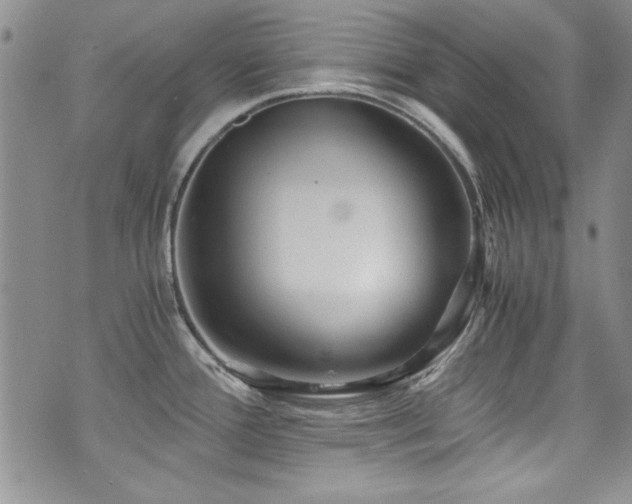 X0000076271388200609281154