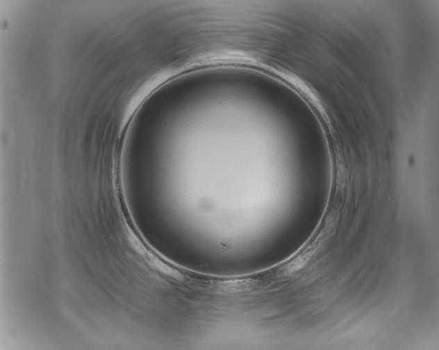 X0000076271390200609281154