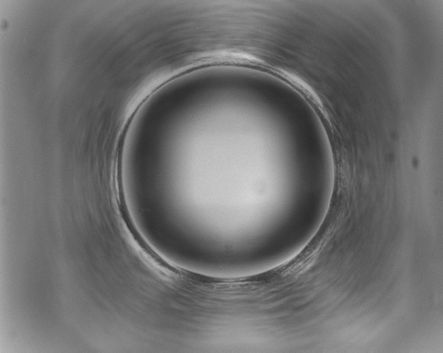 X0000076271391200609281154