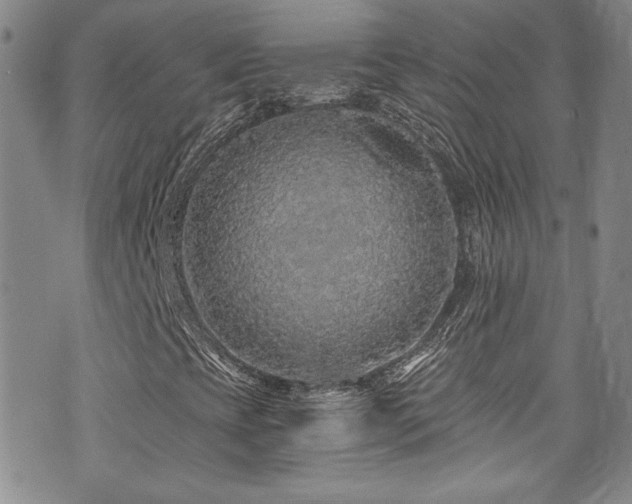 X0000076271393200609281153