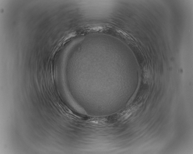 X0000076271394200609281153