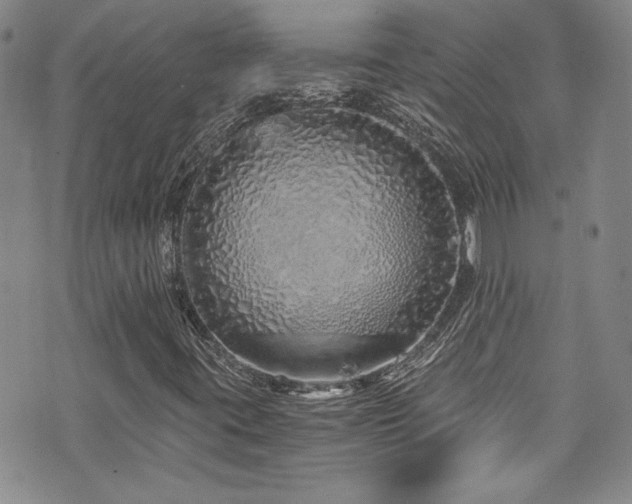 X0000076271395200609281153