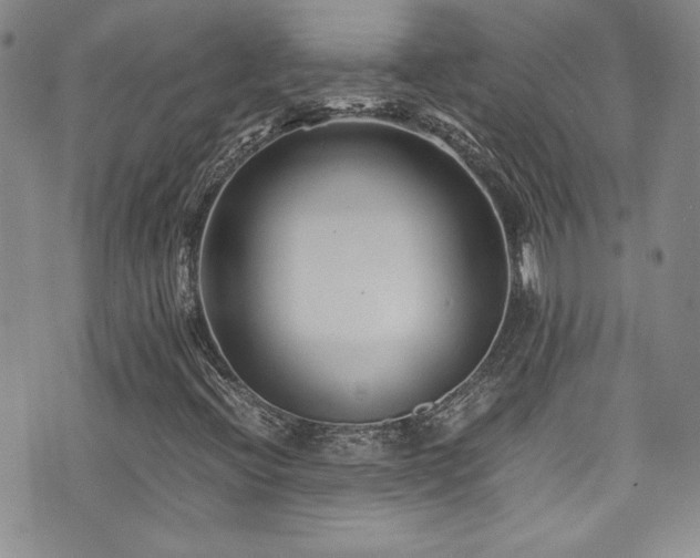 X0000076271396200609281153