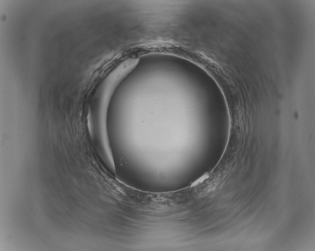 X0000076271398200609281154