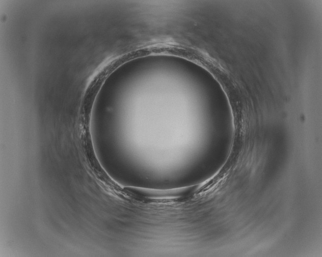 X0000076271400200609281154