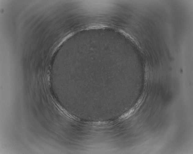 X0000076271401200609281154