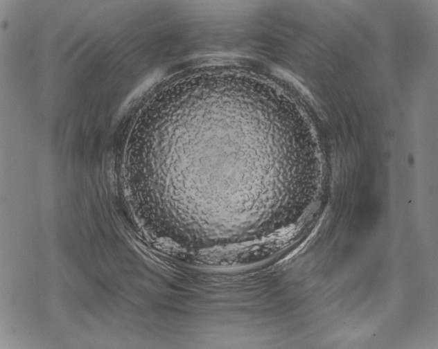 X0000076271403200609281154