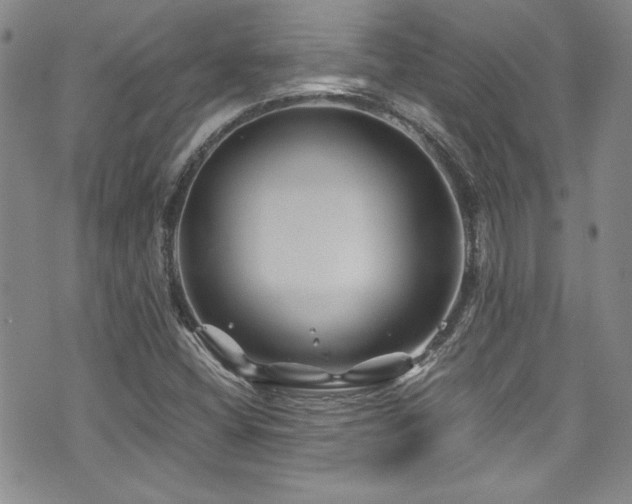 X0000076271404200609281154