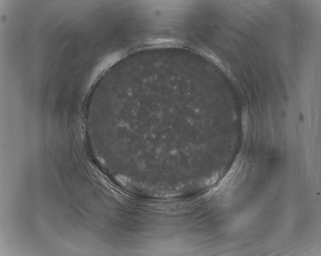 X0000076271405200609281154