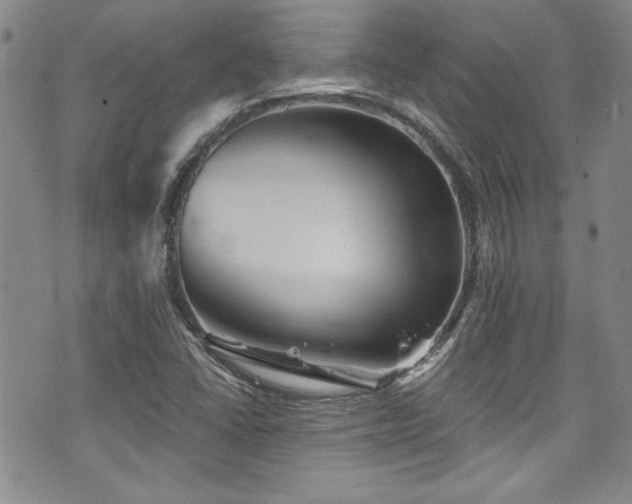 X0000076271406200609281154