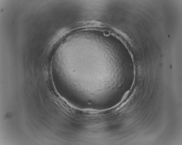 X0000076271407200609281154