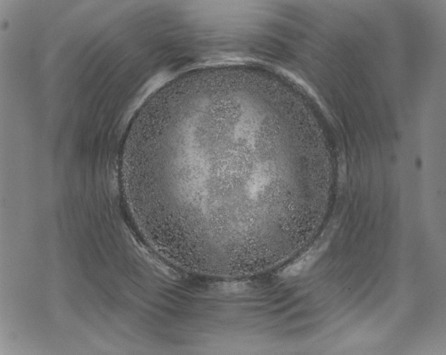 X0000076271409200609281154