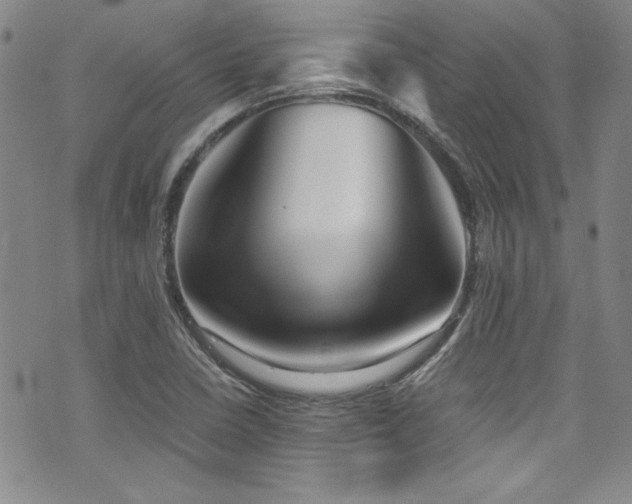 X0000076271410200609281154