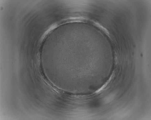 X0000076271411200609281154