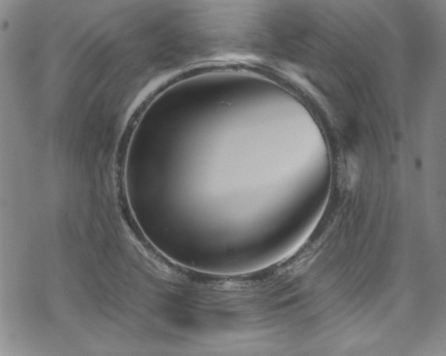 X0000076271412200609281154