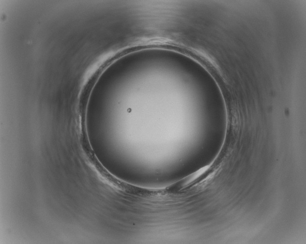 X0000076271414200609281154