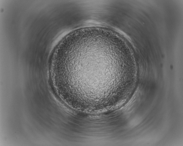 X0000076271415200609281154