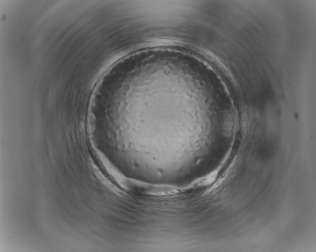 X0000076271417200609281154