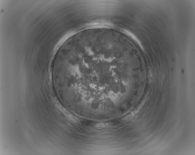 X0000076271419200609281154