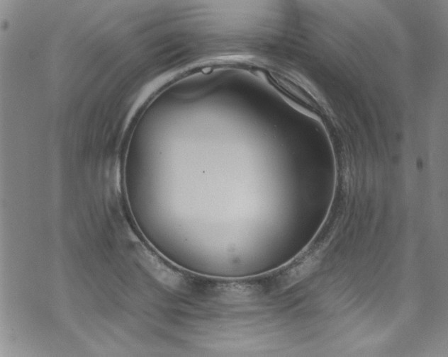 X0000076271420200609281154