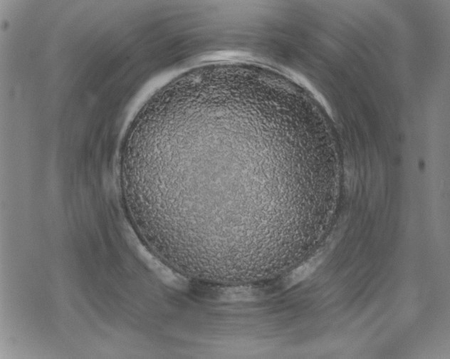 X0000076271421200609281154