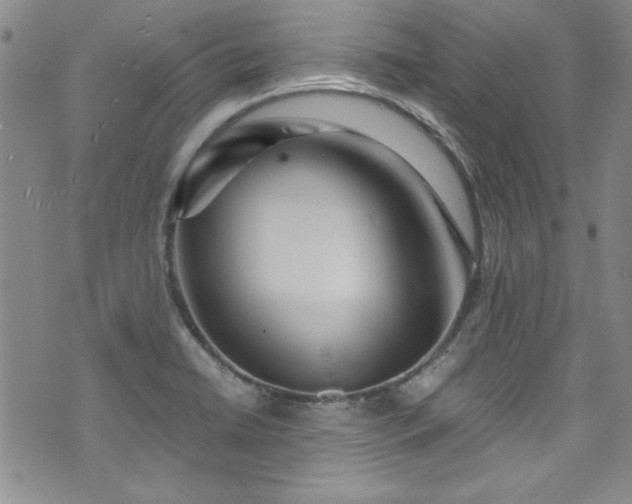 X0000076271422200609281154