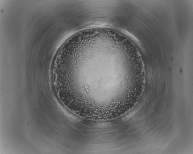 X0000076271423200609281154