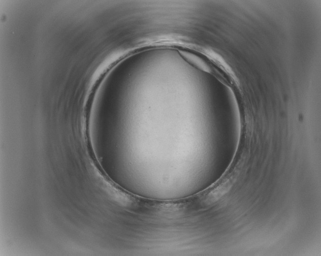 X0000076271424200609281154