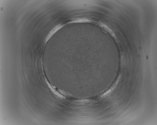 X0000076271425200609281154