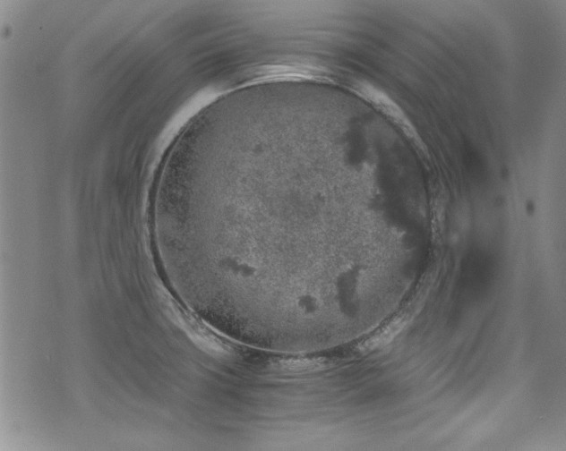 X0000076271427200609281154