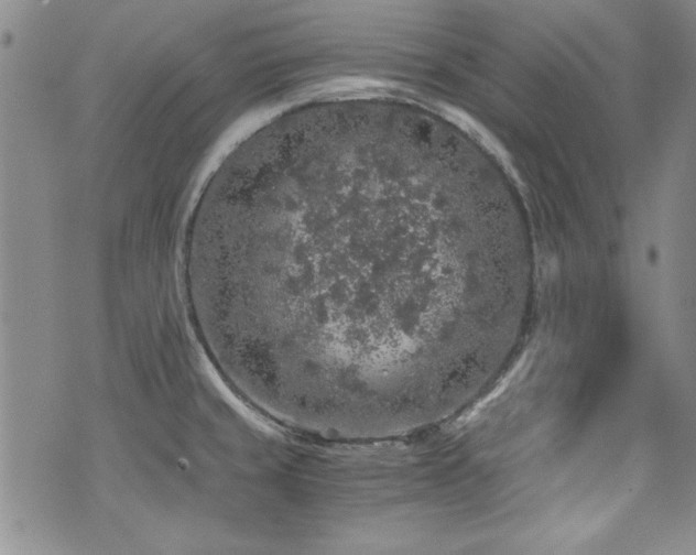 X0000076271429200609281154