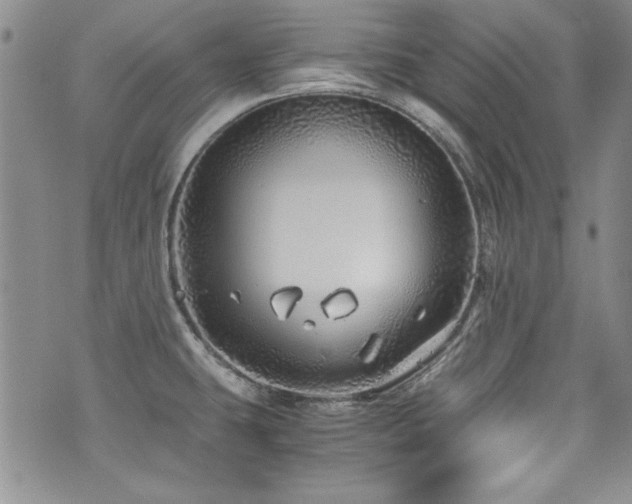 X0000076271431200609281154