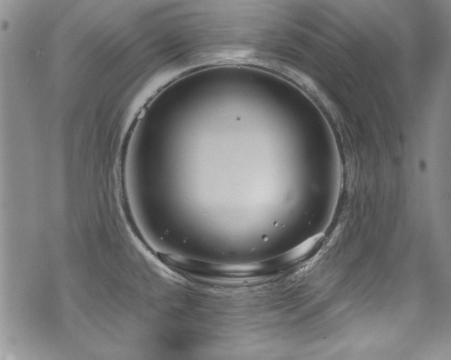 X0000076271432200609281154