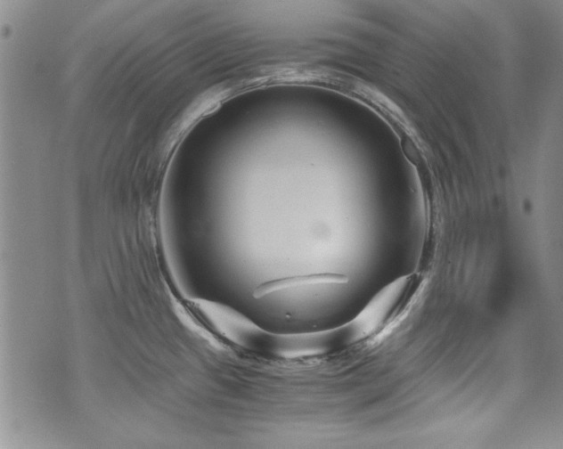 X0000076271433200609281154