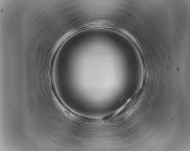 X0000076271434200609281154